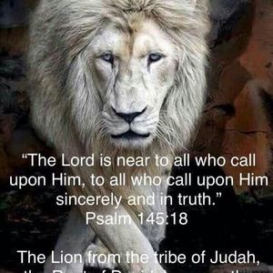 Meet your Posher, Rick